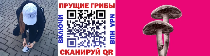 Галлюциногенные грибы Psilocybe  Прохладный 
